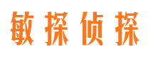 临桂市调查公司